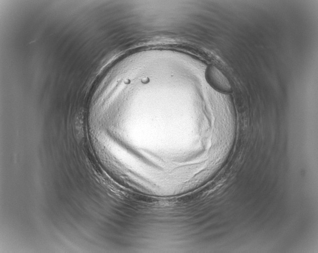 X0000052961409200508050936