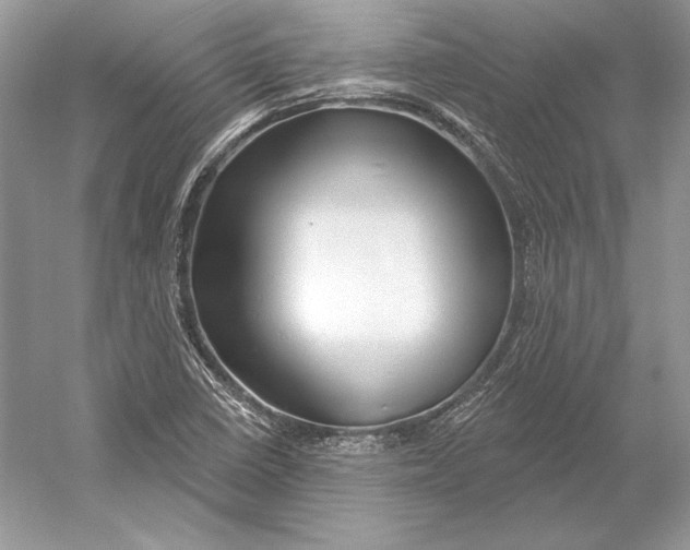 X0000052961410200508050936