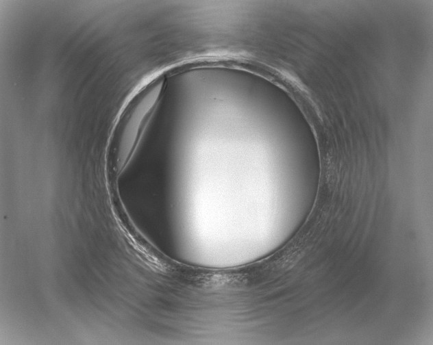 X0000052961412200508050936