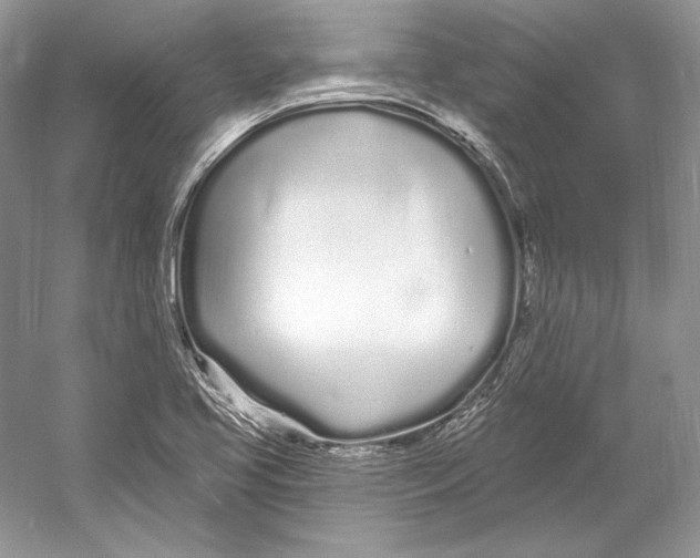 X0000052961413200508050936