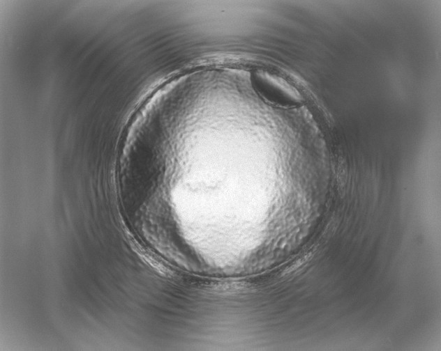 X0000052961417200508050936