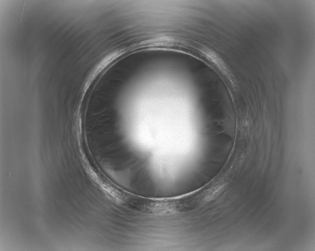X0000052961418200508050936