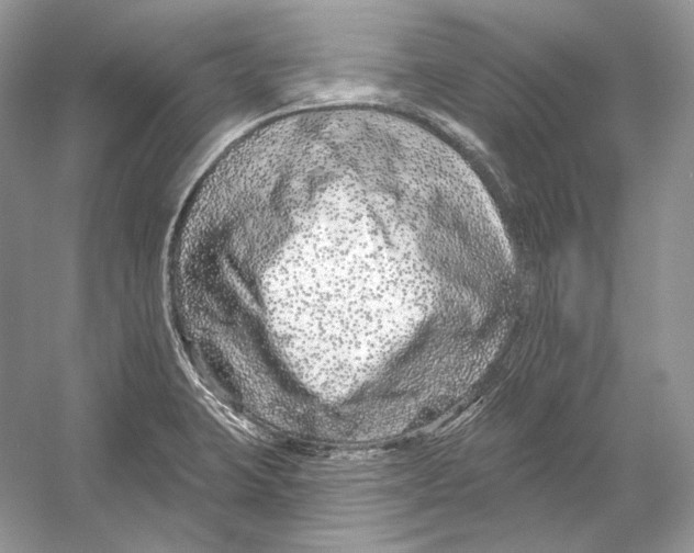 X0000052961423200508050936