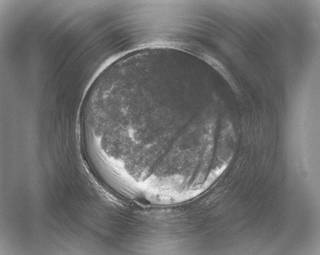 X0000052961428200508050936