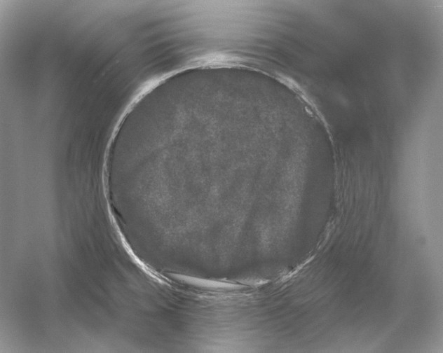 X0000052961429200508050936