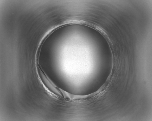 X0000052961430200508050936