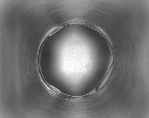 X0000052961434200508050937