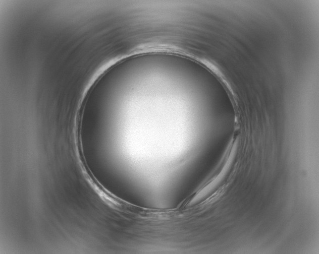 X0000052961438200508050937