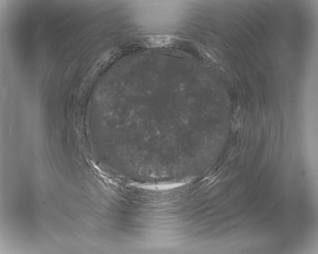 X0000052961441200508050936