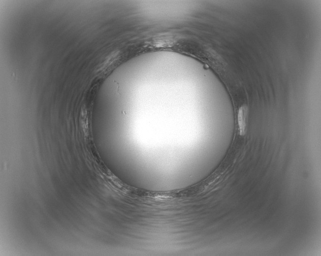 X0000052961443200508050936