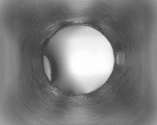 X0000052961444200508050936