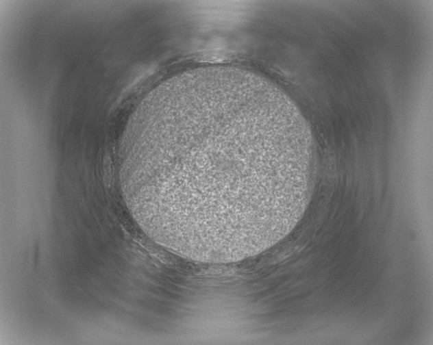 X0000052961446200508050936