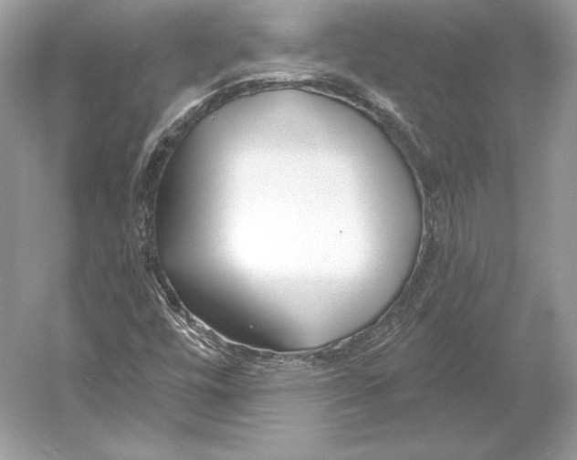 X0000052961448200508050936