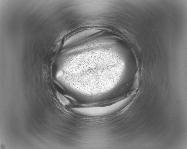 X0000052961449200508050936