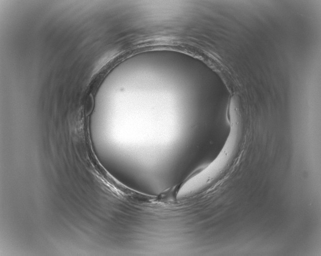 X0000052961450200508050936