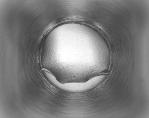 X0000052961451200508050936