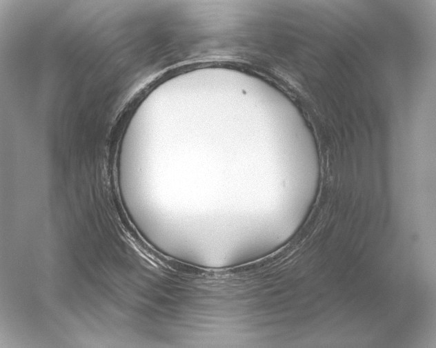 X0000052961452200508050936