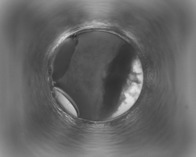 X0000052961455200508050936