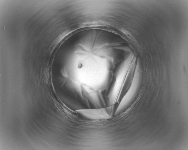 X0000052961457200508050936
