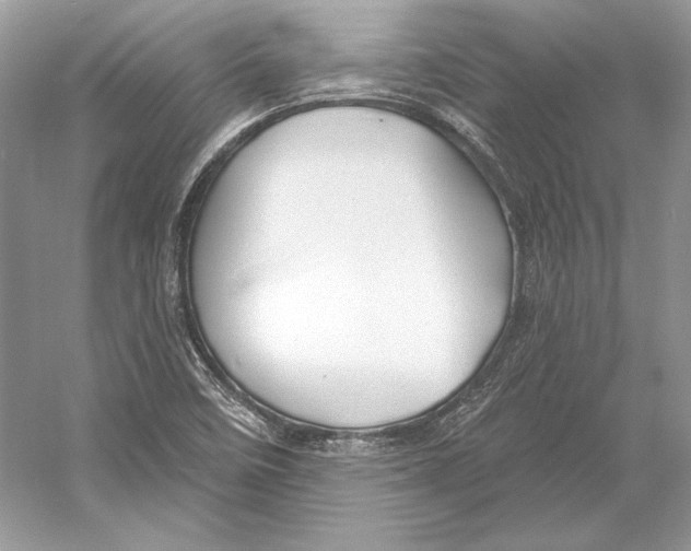 X0000052961458200508050936