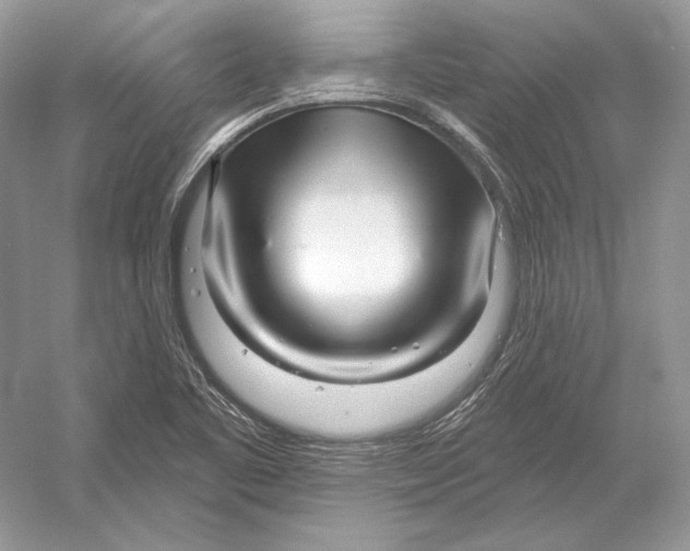 X0000052961461200508050936