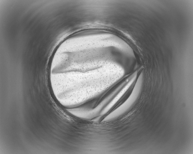 X0000052961463200508050935