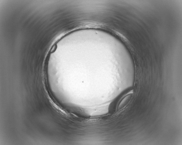 X0000052961471200508050935