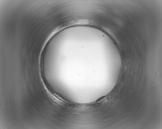 X0000052961475200508050935
