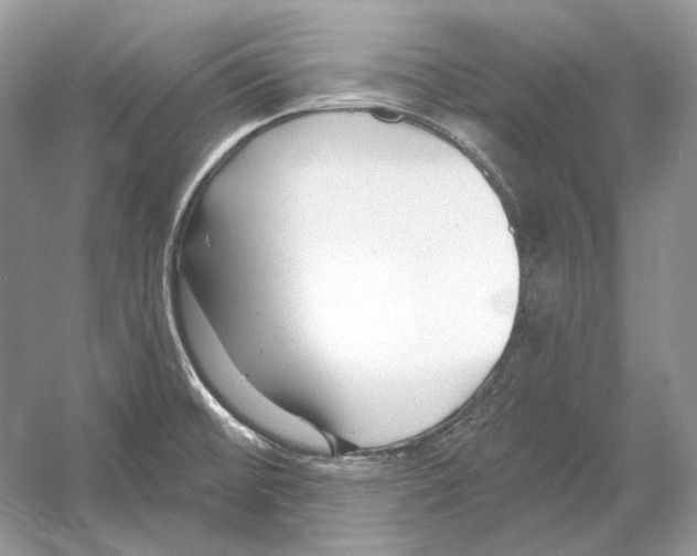 X0000052961476200508050935