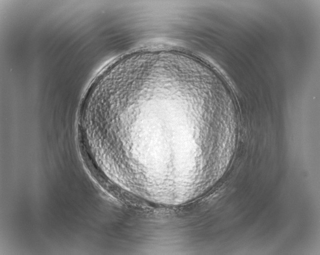 X0000052961477200508050935