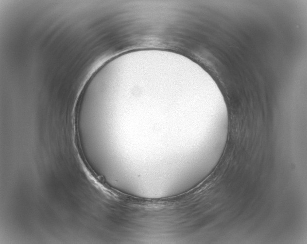X0000052961479200508050935
