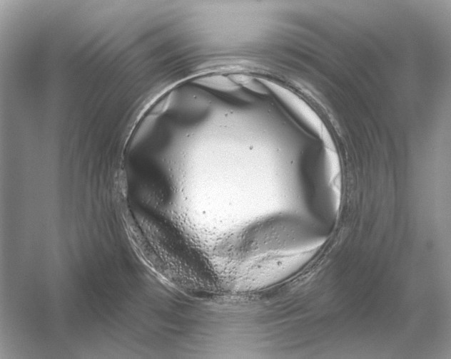 X0000052961481200508050935