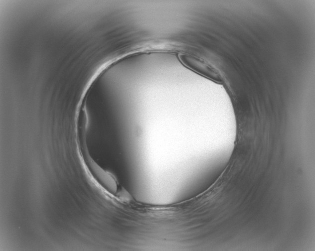 X0000052961483200508050935