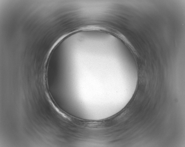 X0000052961484200508050935