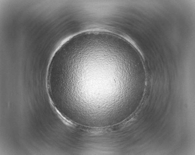 X0000052961485200508050935