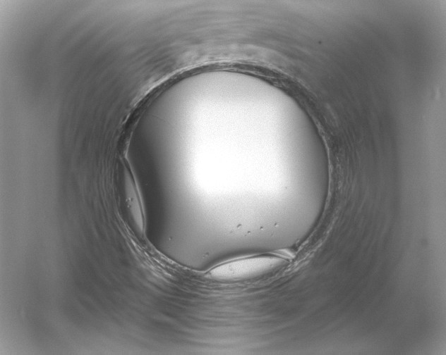 X0000052961497200508050934