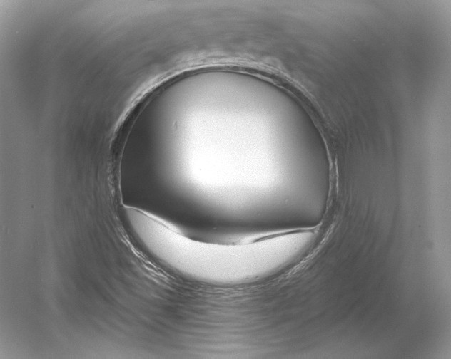 X0000052961501200508050934