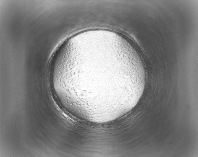 X0000052961504200508050934
