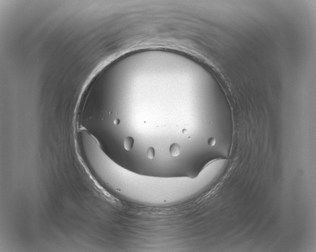X0000052961517200508050935