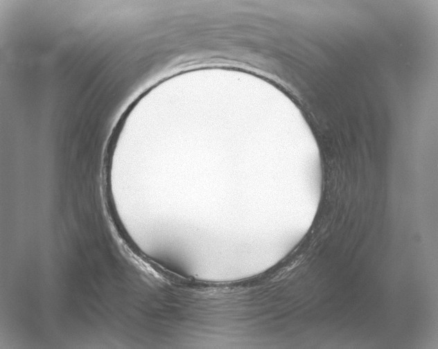 X0000052961518200508050935