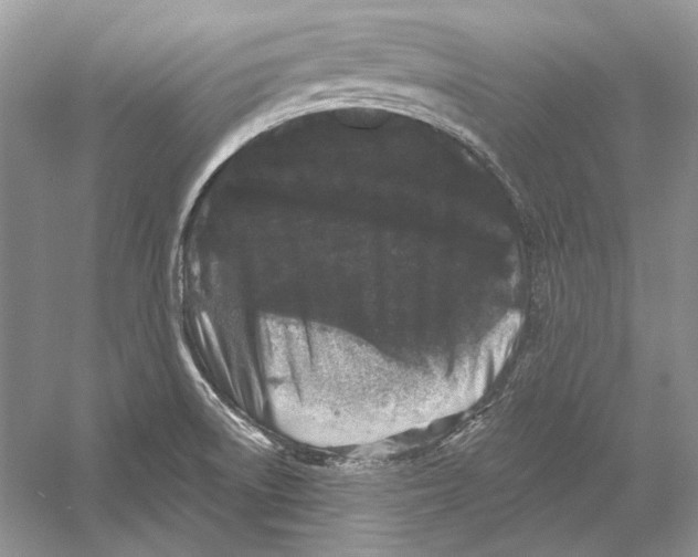 X0000052961522200508050935
