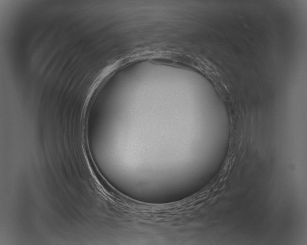 X0000052970003200507080934