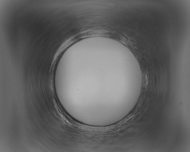 X0000052970004200507080934