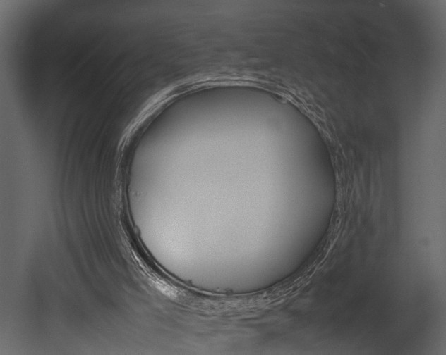 X0000052970005200507080934