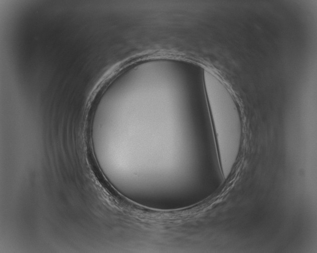 X0000052970007200507080934