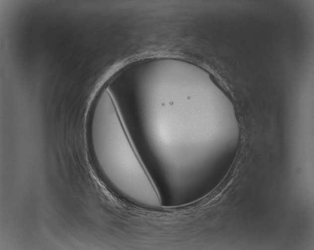 X0000052970008200507080934