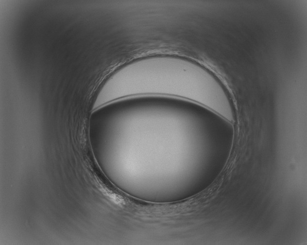 X0000052970009200507080934