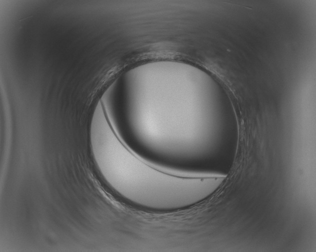 X0000052970013200507080934