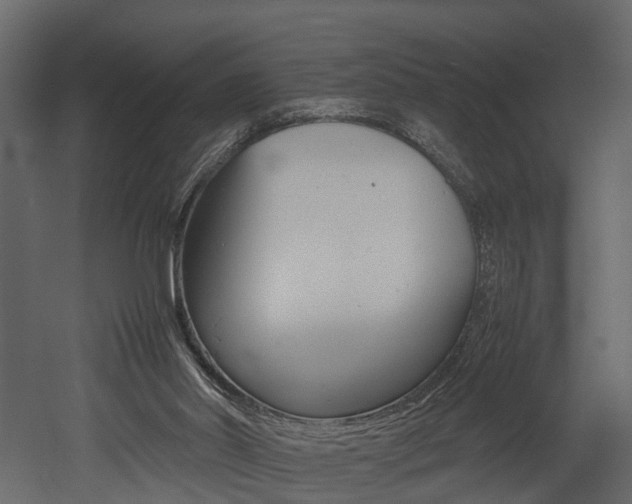 X0000052970014200507080934