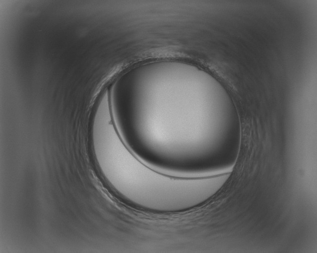 X0000052970015200507080934